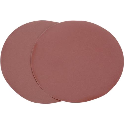 Image for Woodstock D1340 - 12" A/O Sanding Disc, 180 Grit PSA, 2 Pk.