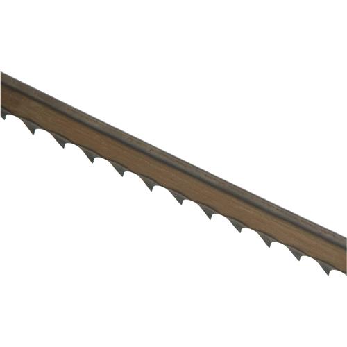 Image for Timber Wolf T25036 - 165" x 1/2" x .032" x 3 TPI AS Bandsaw Blade
